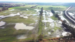 Überflutete Felder im Oderbruch