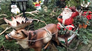 Rentier mit Weihnachtsmann im Schlitten in Straupitzer Anlage