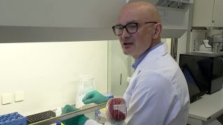 Dirk Roggenbuck, Immunologe Generic Assays