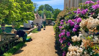 Bunte Blütenpracht im Branitzer Park, weitere Sommerpflanzen kommen gerade dazu