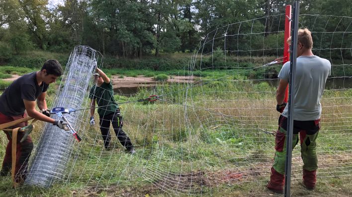 Bau eines festen Zauns gegen Schweinepest ASP in Pusack (Foto: rbb/Jahn)