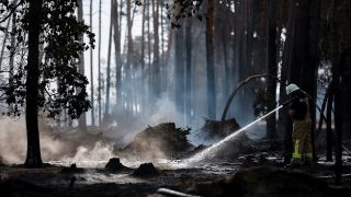 Ein Feuerwehrmann löscht Glutnester in einem Waldgebiet im Elbe-Elster-Kreis (Foto: dpa/Woitas)