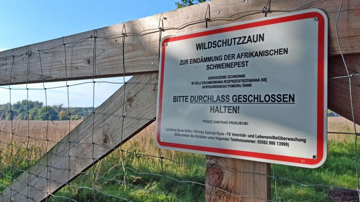 Ein Schild an einem Zaun in Spree-Neiße weist auf den Wildschutzzaun zum Schutz vor der Afrikanischen Schweinepest hin (Foto: rbb/Schneider)