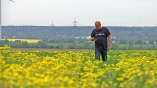 Landwird Heiko Terno auf einem Feld mit Frühlingskreuzkraut (Foto: rbb/Screenshot)