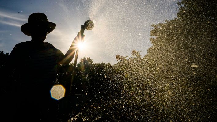 Eine Frau gießt mit Wasser aus einer Grundwasserpumpe ein Blumenbeet (Foto: dpa/Stratenschulte)