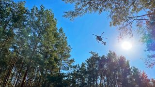 Ein Hubschrauber der Bundespolizei überfliegt ein Waldstück bei Zelz auf der Suche nach Geflüchteten (Foto: rbb/Manske)